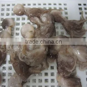Frozen Baby Octopus Whole thumbnail-4