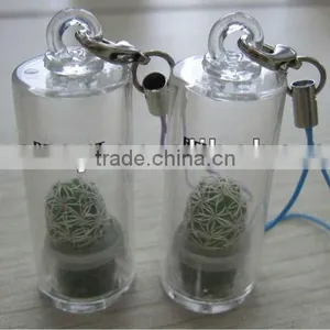 Pet Tree Keychain Mini Pet Plant thumbnail-2