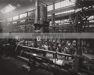 Wholesafety International Trade (Shanghai) Co., Ltd. company overview - view 2 thumbnail