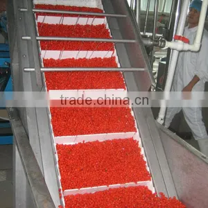 2014's Crop Organic and Low Pesticide Gojiberry Selling in Good Price thumbnail-1