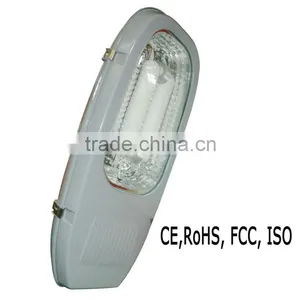 Induction Lamp Street Light With Diamond Reflector thumbnail-1
