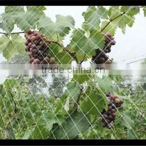 Stretched Plastic Netting | Fence to Protect Agriculture and Plants thumbnail-3