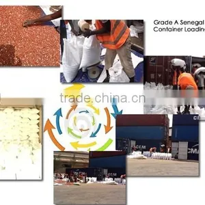 Grade AAA Senegal African Peanut Kernel Premium Raw Blanched in Shell Red Skin Peanut Butter Freight to Qingdao World-wide Sales thumbnail-1