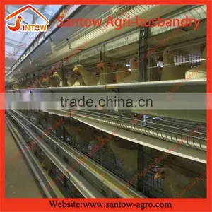 Stable Steel Structure Professional Chicken Egg Layer Cage Broiler Farm Design thumbnail-4