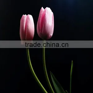 Good Smell Fresh Cut Pink Tulip Flower Peonies Cut Flowers From Kunming,Yunnan thumbnail-1