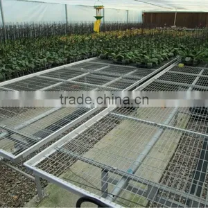 Agricultural Greenhouse Mobile Bench thumbnail-1