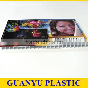 100% Virgin Plastic Polypropylene PP Sheets, PP Sheets for Printing thumbnail-3
