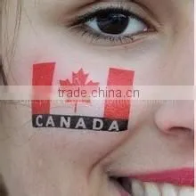 Mexico Flag Face Paint thumbnail-1