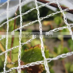 (20 Years Shanghai Factory) Hot Selling , New Arrival, Orchard HDPE Knotted Mesh Bird Netting on Grapes , 25 GSM / 20101-25 thumbnail-2