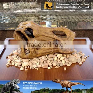 MY Dino-C085 Resin Dinosaur Head Skeleton thumbnail-6