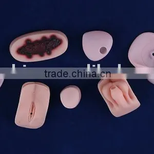 Medical Manikin,medical Model,teaching Medical Model thumbnail-1