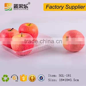 Disposable Fruit Food Container Packing Tray thumbnail-1