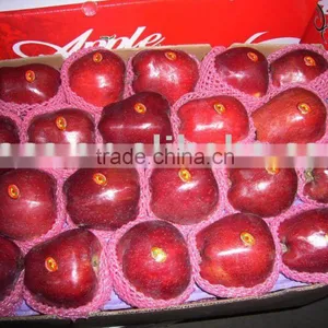 Red Apple Fruits thumbnail-1