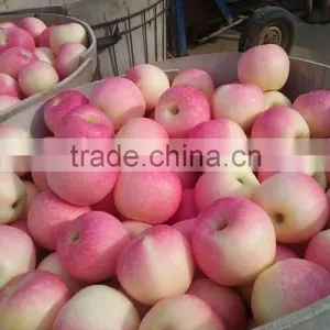 Fresh Red Gala Apple thumbnail-3