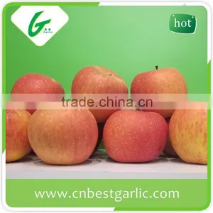 Honey Red Fuji Apples in Big Sizes thumbnail-5