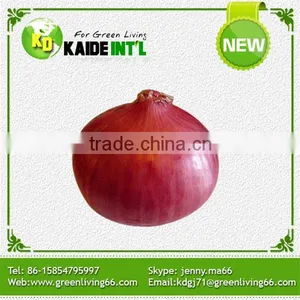 Competitive Price Fresh White Onion thumbnail-1