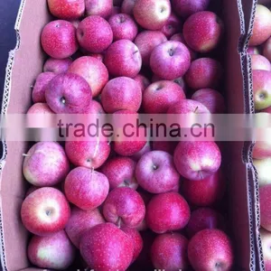 Shanxi Qinguan Apple thumbnail-2