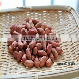 Peanut Kernel thumbnail-4