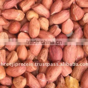 Peanuts in Red Skin thumbnail-1