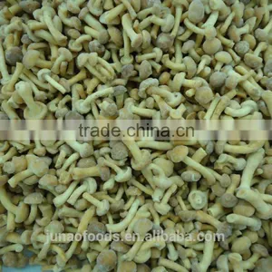New Season Iqf Nameko Mushroom Export Price thumbnail-2