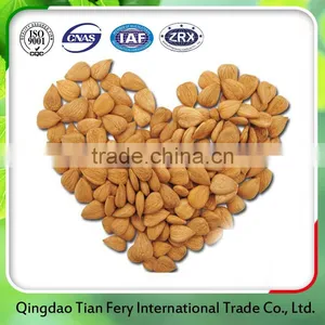 Apricot Kernels/ Bitter and Sweet Apricot Kernels thumbnail-4