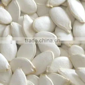 Snow White Pumpkin Seeds thumbnail-1