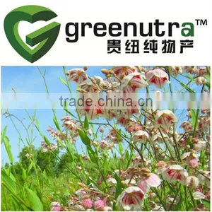 Dogbane Leaf Extract thumbnail-1