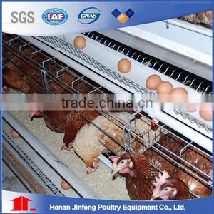 2017A Type Cages for Broiler Chicken thumbnail-2