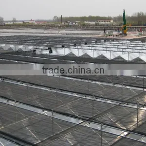 Growing Greenhouse thumbnail-3