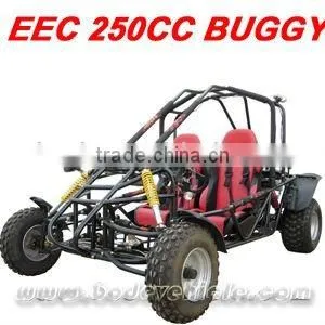 EPA 250CC BUGGY Popular thumbnail-1