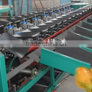Melon Grading Machine Sorter Grader thumbnail-1