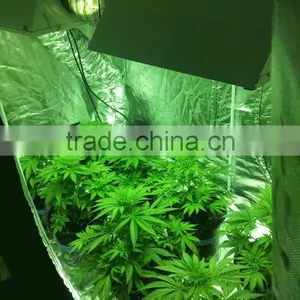 Plant Led Grow Box Greenhouse Grow Tent for Hydroponics thumbnail-1