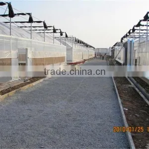 Chinese Large 10 Meters Multi-Span Plastic Film Greenhouse, Vegetables Greenhouse thumbnail-1