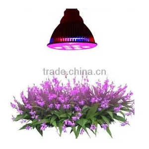 Online Led Lighting Shop Sell Lights Used to Grow Plants That Grow From Bulbs thumbnail-2