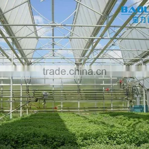 BLD Large Multi-span PE Greenhouse for Fruits thumbnail-3