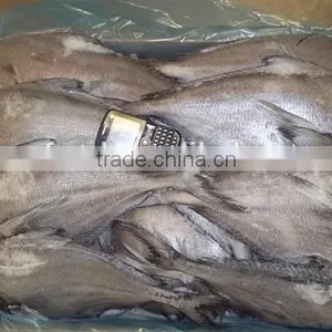 Frozen Brama Fillet,Skinless &PBO & 20%Glazing thumbnail-3