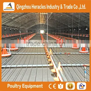 Factory Hight Quality Galvanized Poultry Farm Materials on Sale thumbnail-2