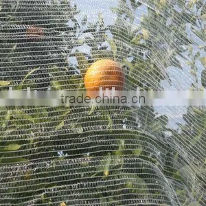 Insect Mesh Roll thumbnail-1