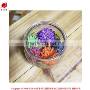 High Quality Fake Mini Bonsai Artificial Mini Bonsai Made in China Manmade Mini Plant thumbnail-1