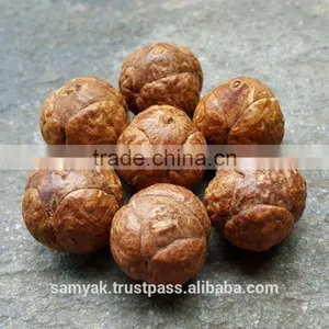 Buddha Chitta 14 Beads Bodhi Seed Genuine Indonesian Phoenix Eye Mala Phrengba thumbnail-6