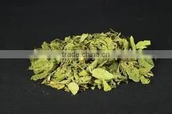GYMNEMA SYLVESTRE DRY LEAVES thumbnail-1