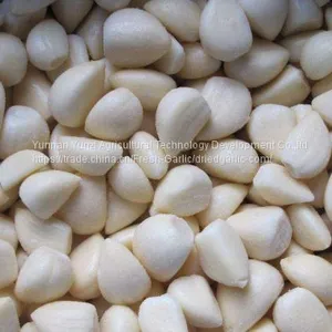 Garlic Clove thumbnail-2