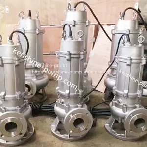 WQ Sewage Effluent Water Pump thumbnail-1