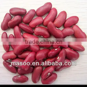 Red Kidney Bean thumbnail-1
