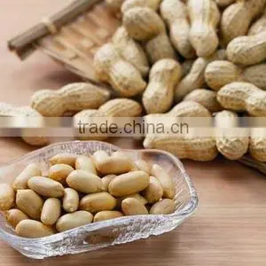 High Quality PEANUT thumbnail-1