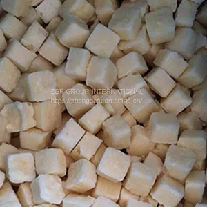 Frozen IQF Garlic Puree Tablet thumbnail-1