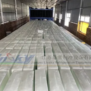 30Ton/24hr Block Ice Machine thumbnail-1