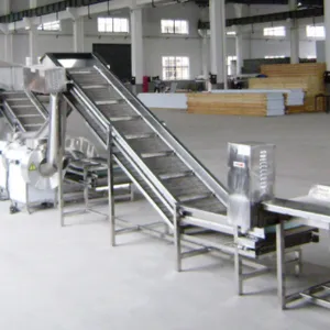 Automatic Frozen Fruit & Vegetable Processing Line Frozen Asparagus Production Line thumbnail-3