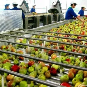 Fruit Vegetable Juicer Production Line Apple Juice Processing Machinery / Fruit Juice Line thumbnail-4
