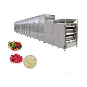 Fruit and Food Microwave Tunnel Dryer/Dehydrator and Sterilizer Machine thumbnail-1